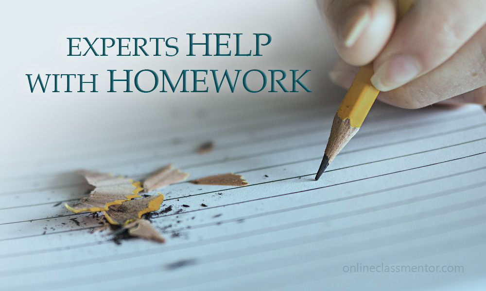 Experts help with homework