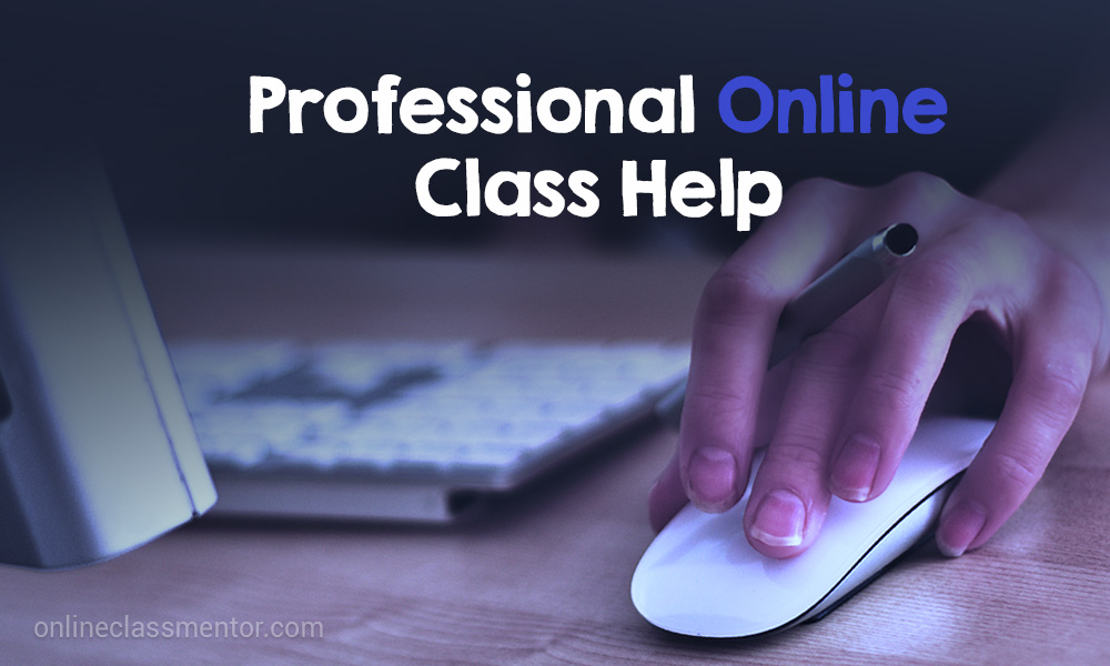 Professional Online Class Help